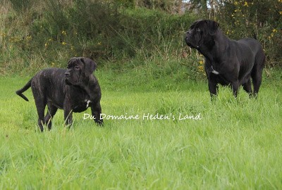 Uline Du Domaine Heden's Land